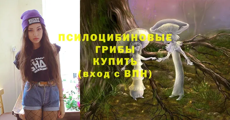 Псилоцибиновые грибы Magic Shrooms  дарнет шоп  мориарти какой сайт  Кедровый 